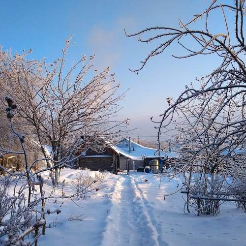 Photo #8520797
