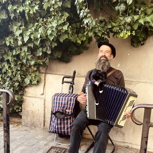 Photo #8521046
