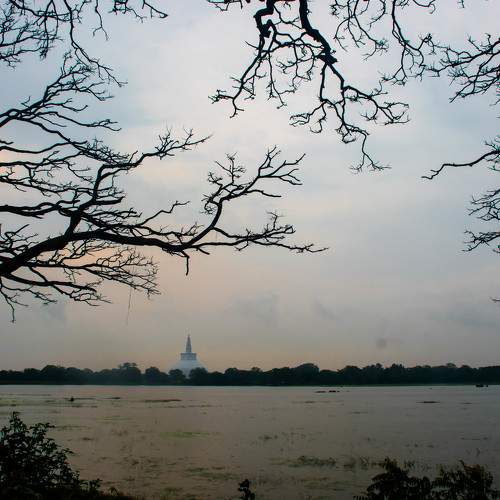 Photo #8521706