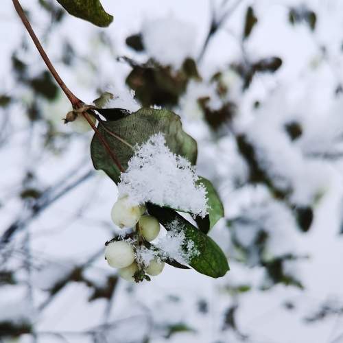 Photo #8522102