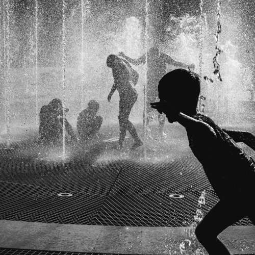 Photo #8522381