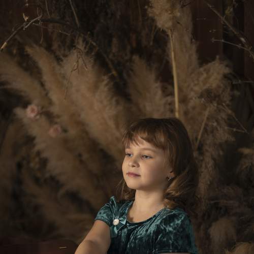 Photo #8522567