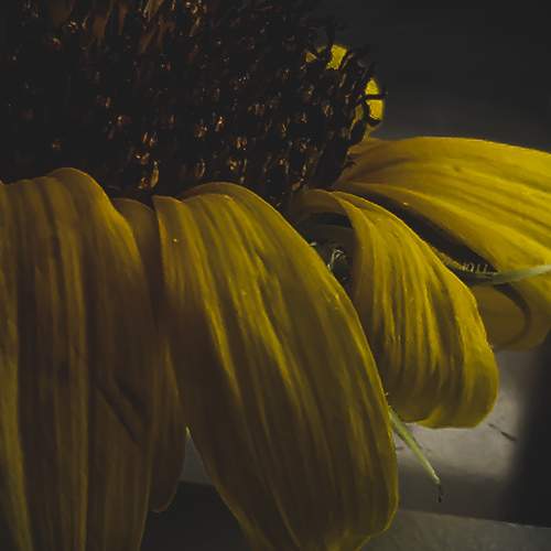 Photo #8522852