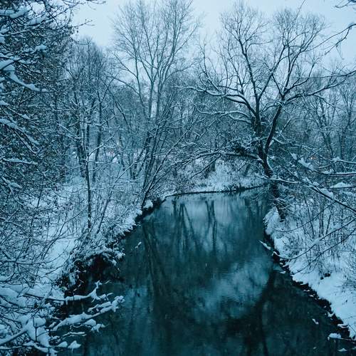 Photo #8523131