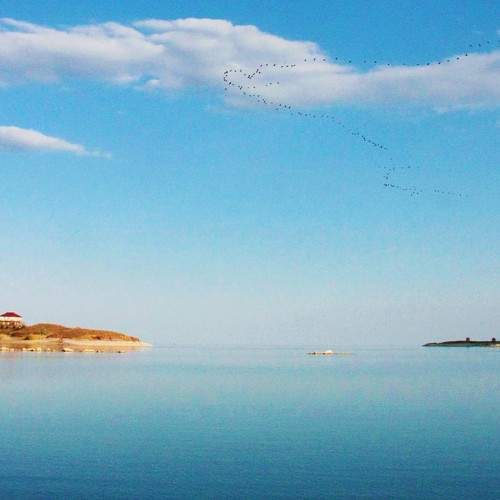 Photo #8523861