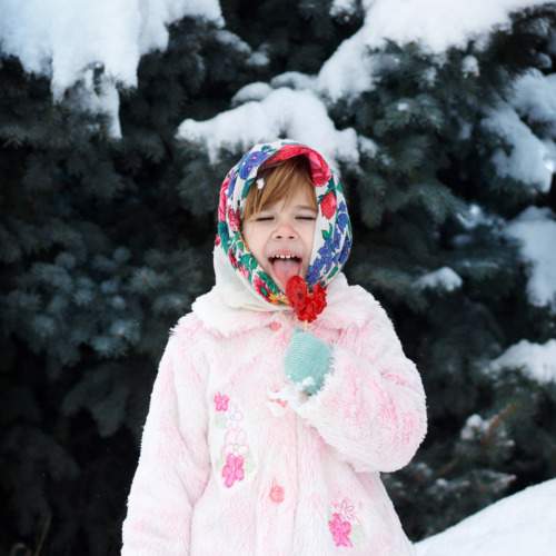 Photo #8524084