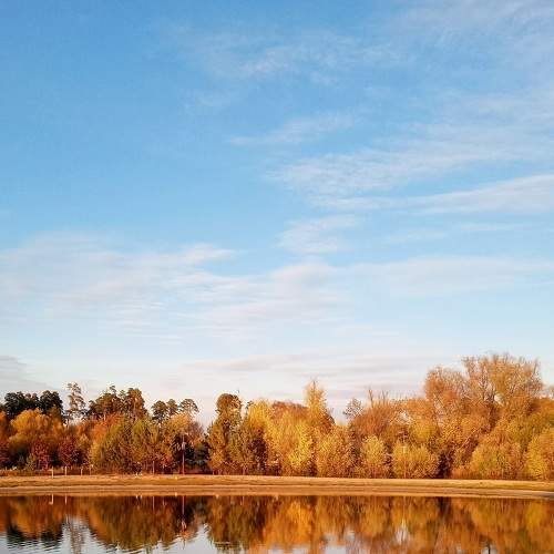 Photo #8524313