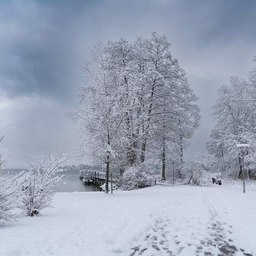 Photo #8524370