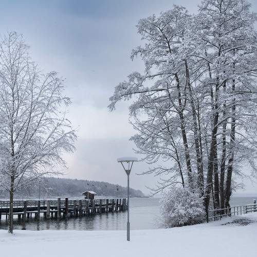 Photo #8524399