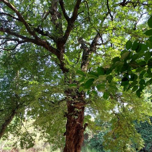 Photo #8524445