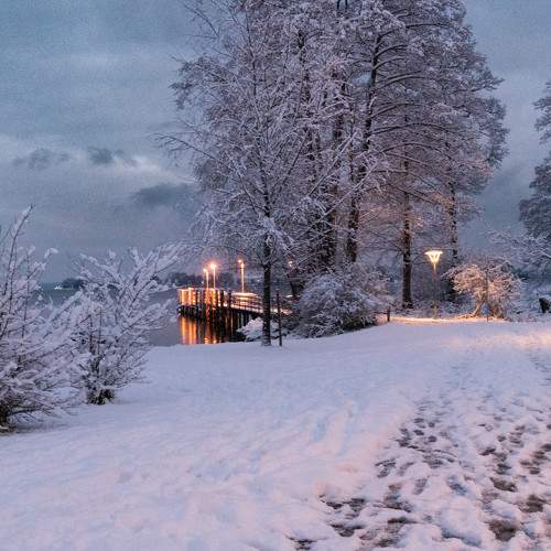 Photo #8524483