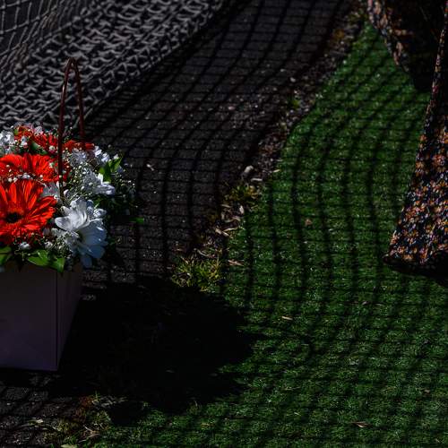 Photo #8524741