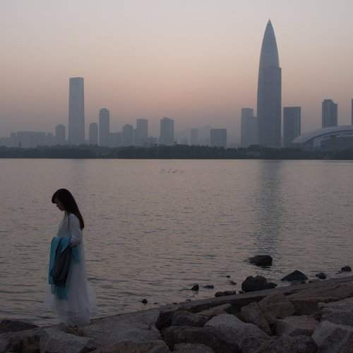 Photo #8524793