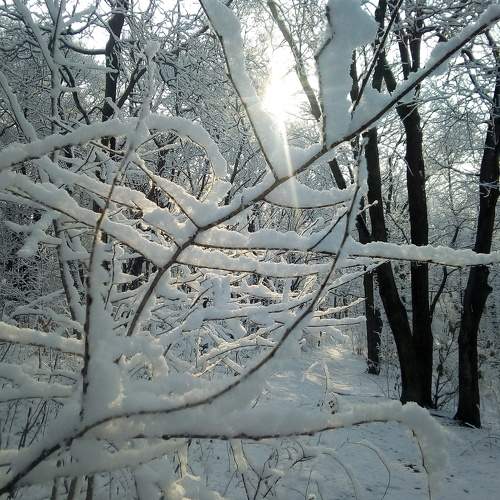 Photo #8524920