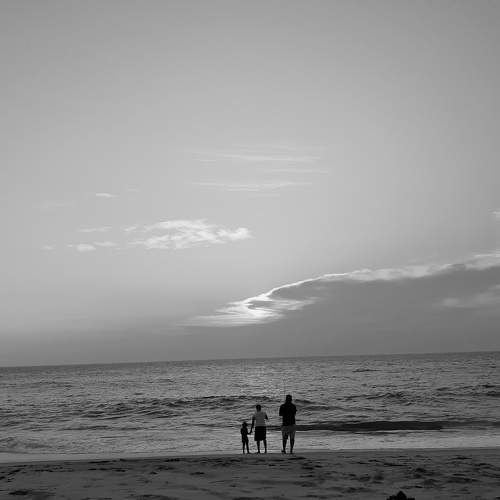 Black and white landscape
