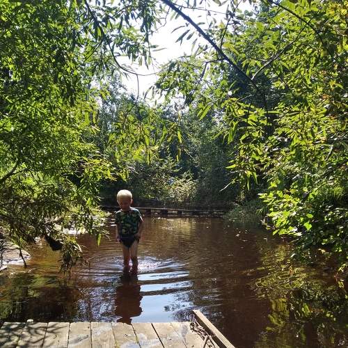 Photo #8525455