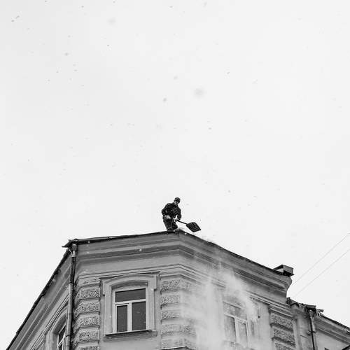 Photo #8525568