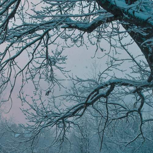 Photo #8526159