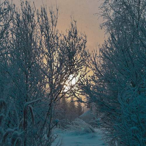 Photo #8526169
