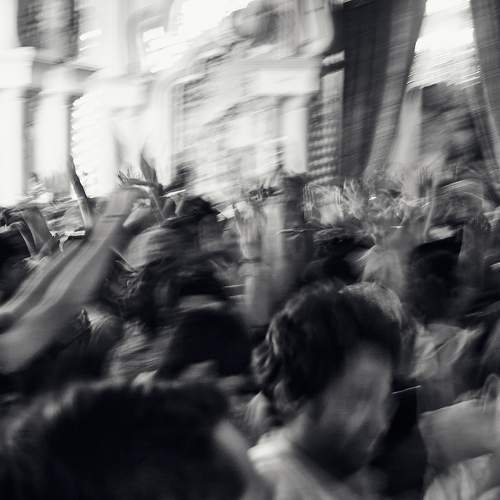 Photo #8526220