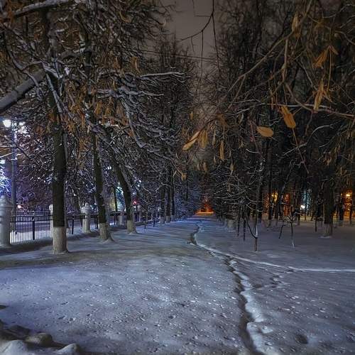 Photo #8526518