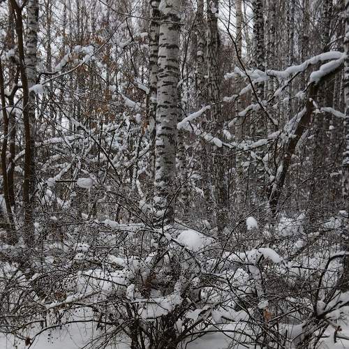 Photo #8526794