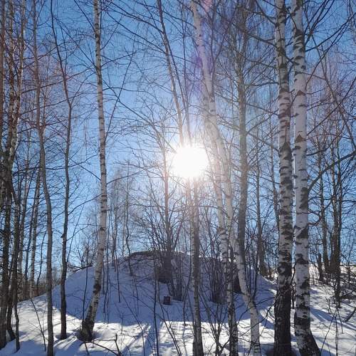 Photo #8527099