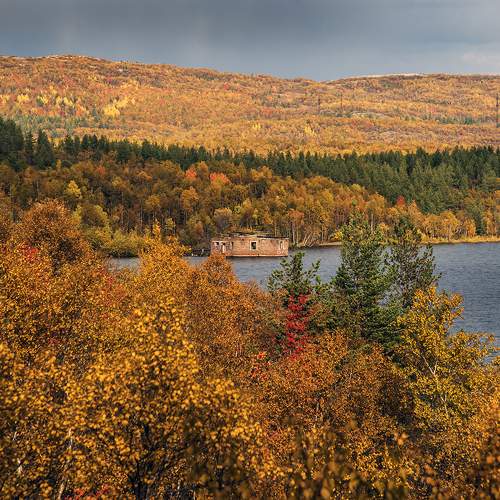 Photo #8527238