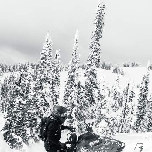 Photo #8527781