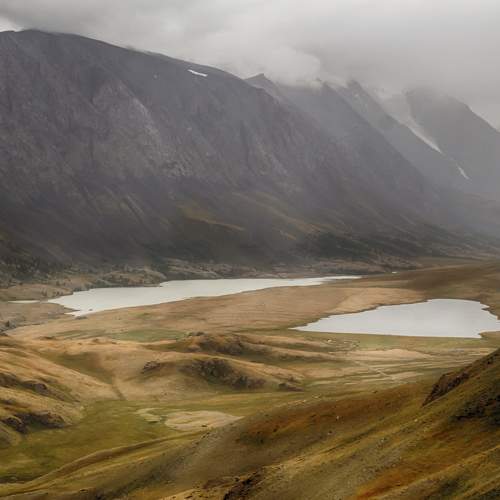 Photo #8527796