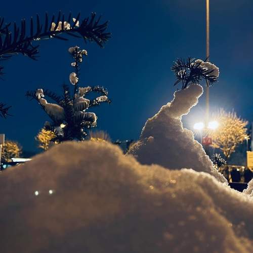 Photo #8527814