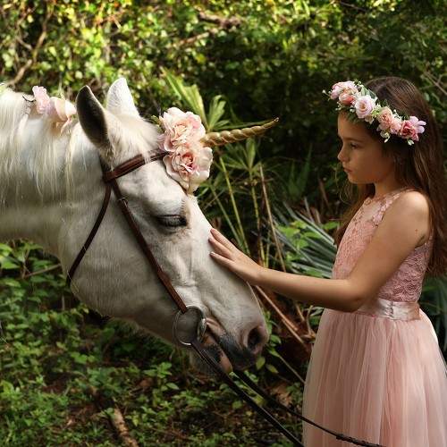 Photo #8528099