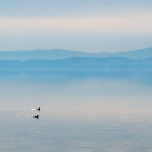 Photo #8528289