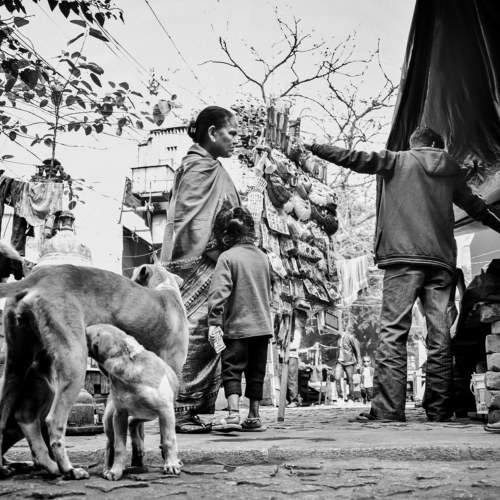 Photo #8528454