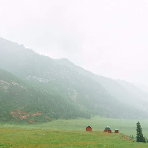 Photo #8528568