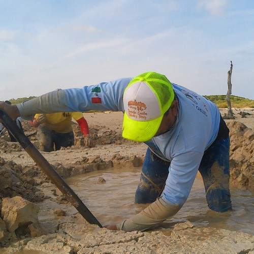Photo #8528691