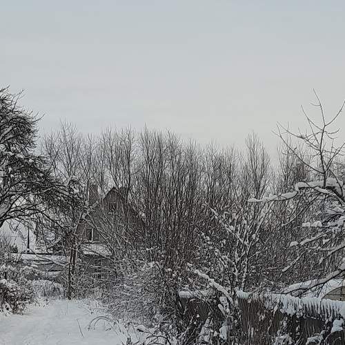 Photo #8528769