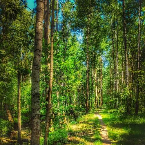 Photo #8528846