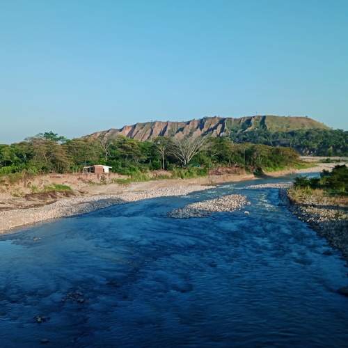 Photo #8528864