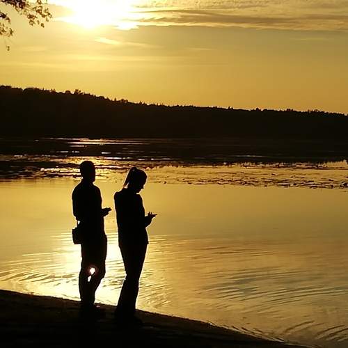 Photo #8528870