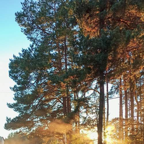 Photo #8529084