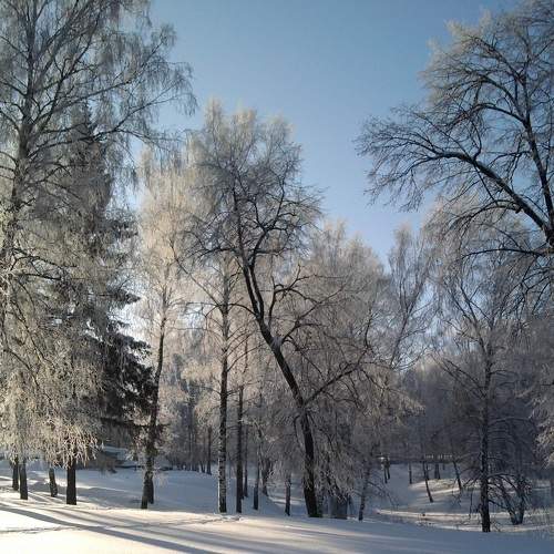 Photo #8529107