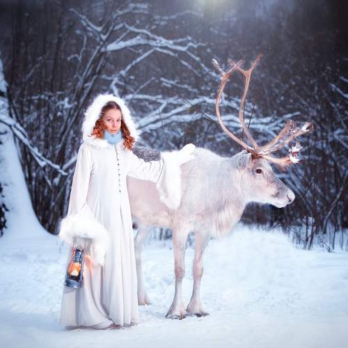 Photo #8529110