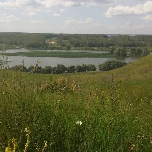 Photo #8529209