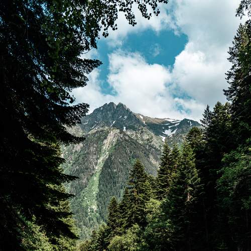 Photo #8529240