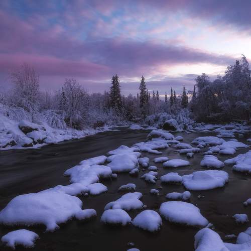Photo #8529249