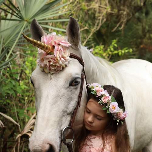 Photo #8529457