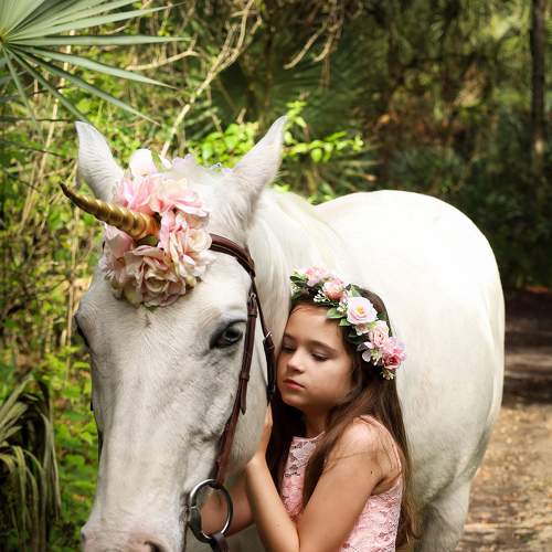 Photo #8529462