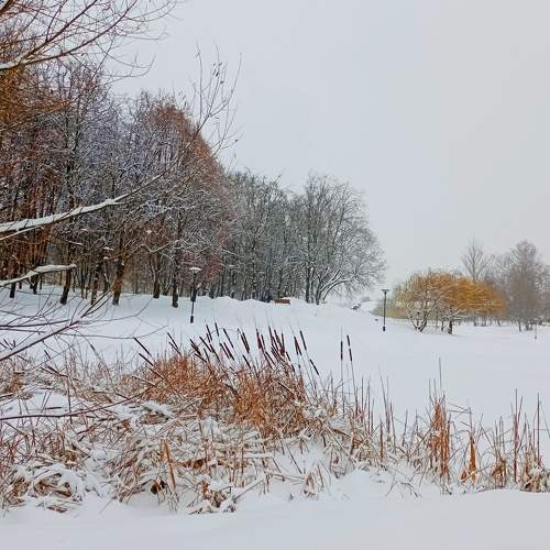 Photo #8529467