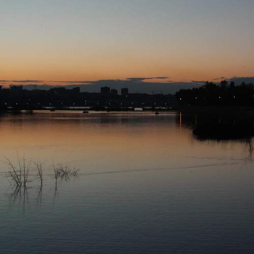 Photo #8529496